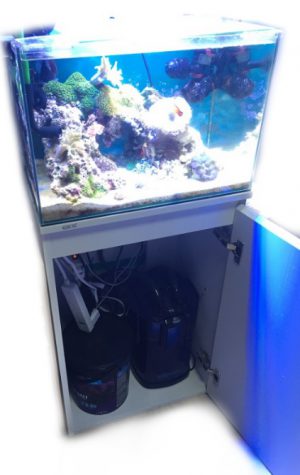 水槽台の内部