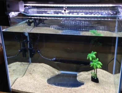 簡素な水槽