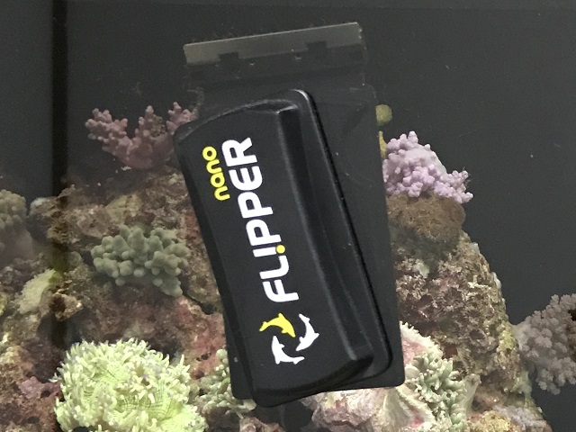 ステンレスブレード付きマグネットクリーナー Flipper を買ってみたのでレビュー アクアハーミット