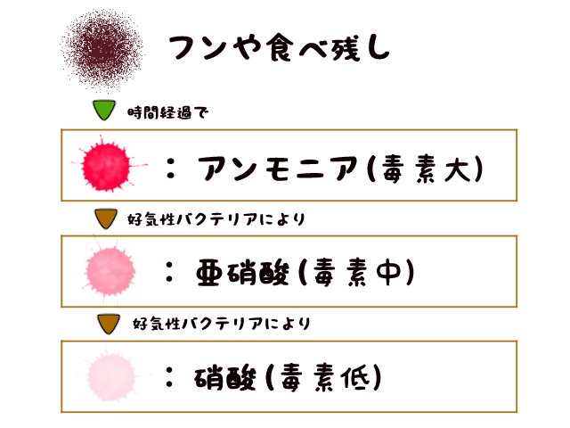 フンから硝酸塩までの図