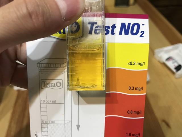 立ち上げ8日目の亜硝酸濃度