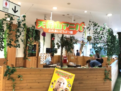 天保山アニパ