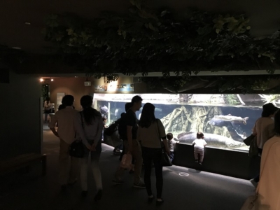 アクア・トト ぎふ館内