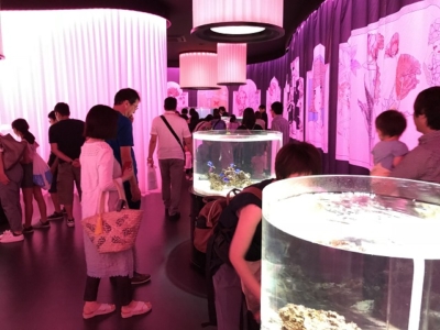 水族館ミュージアム ニフレルの紹介と周辺スポットなど アクアハーミット