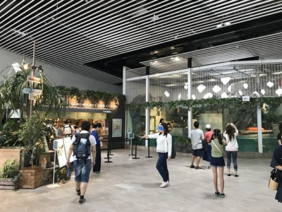 ニフレルの開放感ある展示スペース