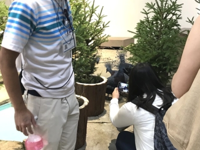 柵が無く、動物との距離が近い展示