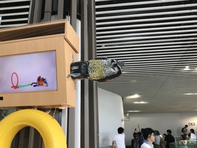 ニフレル、鳥の置物