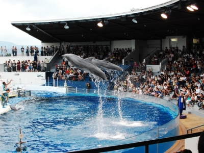 京都水族館のイルカスタジアム