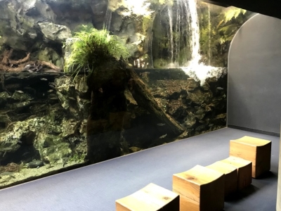京都水族館の涼しい展示