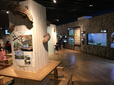 京都水族館の休憩スペース