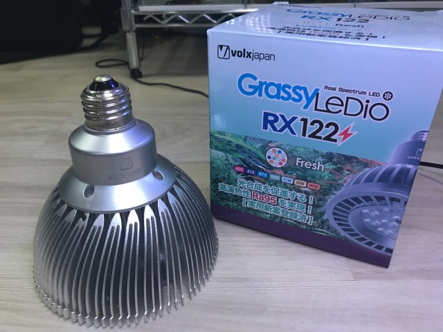 大人女性の グラッシーレディオ ボルクスジャパン LEDライト RX122 DP 