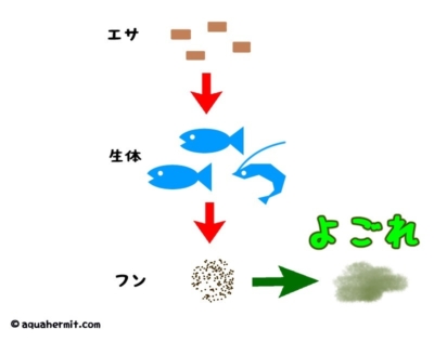 エサからフンまでの汚れ遷移図