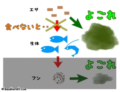 エサを食べ残した場合の汚れイメージ図