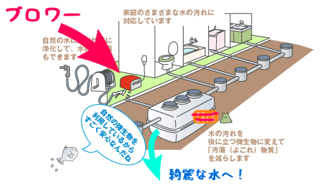 浄化槽のイメージ（環境省のサイトより改変）