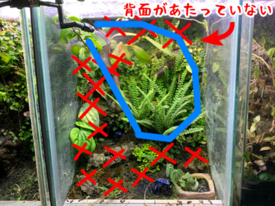 モンスーンソロ、開けたレイアウトでの噴射範囲その2