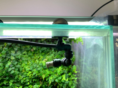 ミスティングシステム:フォレスタ(foresta)の設置の様子、その3