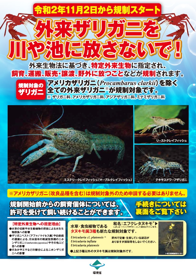 年 特定外来生物指定によるザリガニ規制のまとめ アクアハーミット