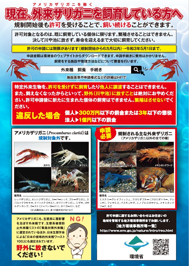 ザリガニの特定外来生物入りチラシその２