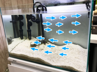 ウーパールーパーの水槽と水流、その２