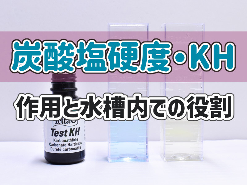 炭酸塩硬度 Kh の概要とその作用について アクアリウム アクアハーミット