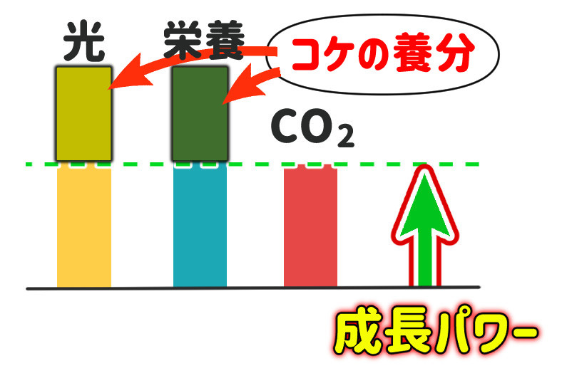 余分な光と栄養がコケの養分になる