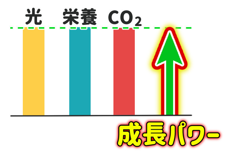 二酸化炭素と光、肥料と生育との関係図その２