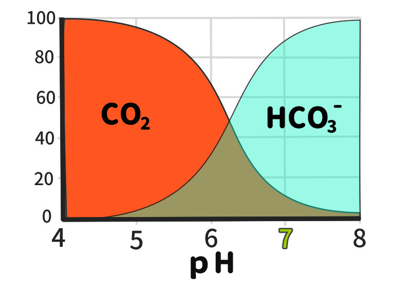 pHと炭酸ガス融解度のグラフ（HCO3-）