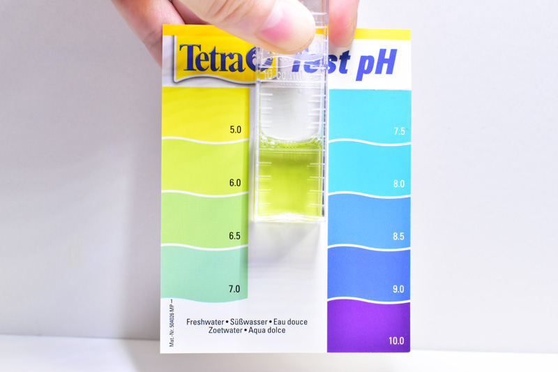 テトラのpH試薬でpHを読み取っている様子